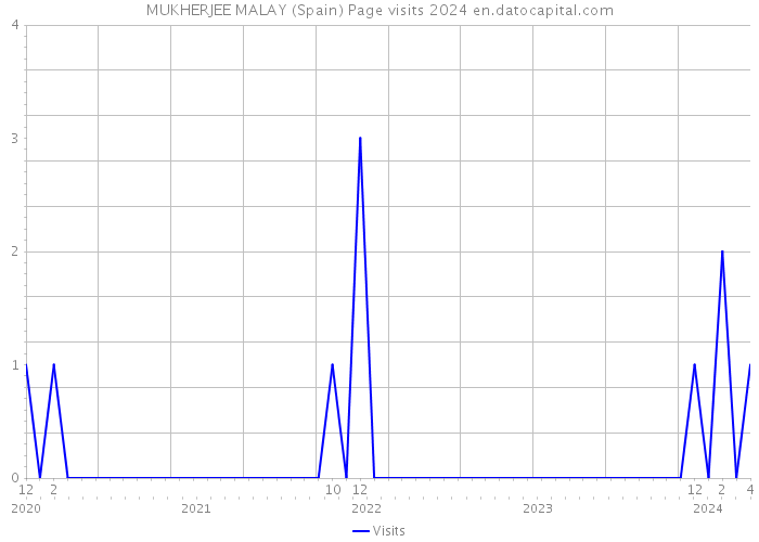 MUKHERJEE MALAY (Spain) Page visits 2024 