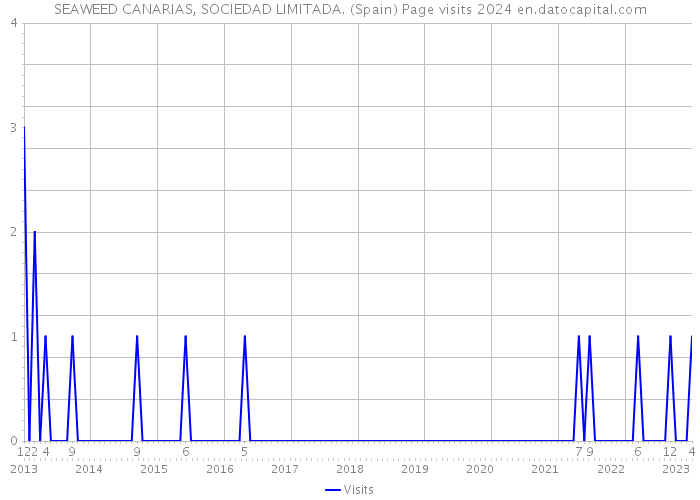 SEAWEED CANARIAS, SOCIEDAD LIMITADA. (Spain) Page visits 2024 