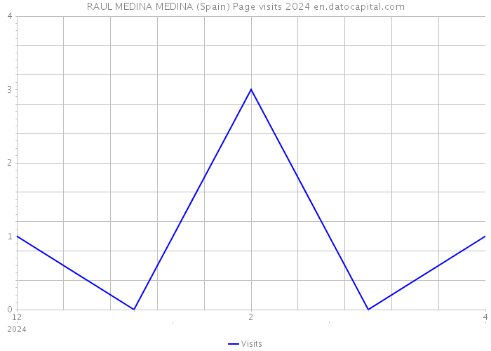 RAUL MEDINA MEDINA (Spain) Page visits 2024 