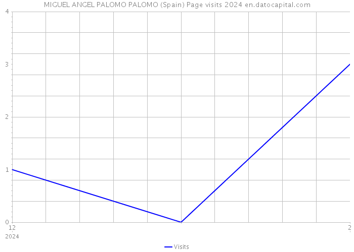 MIGUEL ANGEL PALOMO PALOMO (Spain) Page visits 2024 