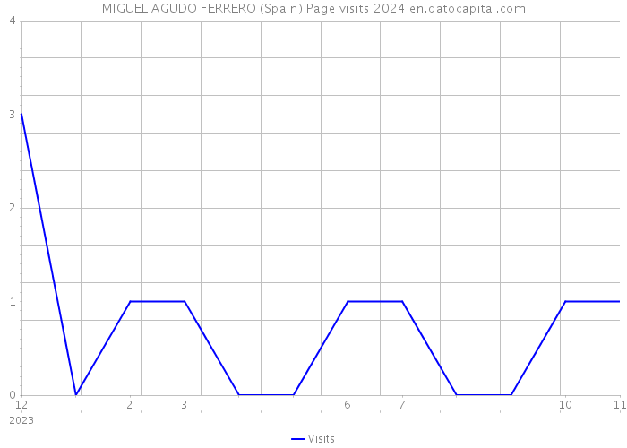 MIGUEL AGUDO FERRERO (Spain) Page visits 2024 