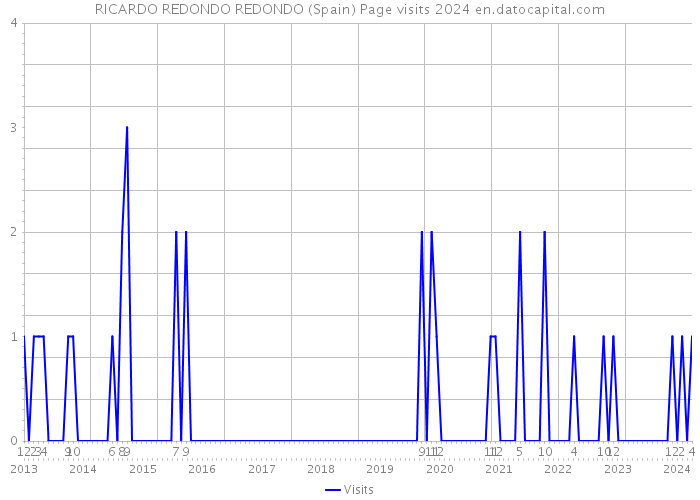 RICARDO REDONDO REDONDO (Spain) Page visits 2024 