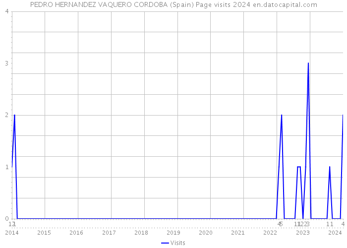 PEDRO HERNANDEZ VAQUERO CORDOBA (Spain) Page visits 2024 
