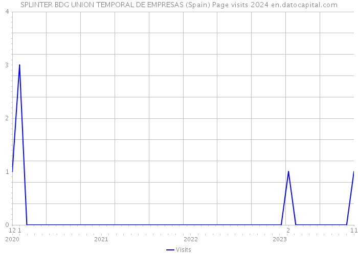 SPLINTER BDG UNION TEMPORAL DE EMPRESAS (Spain) Page visits 2024 