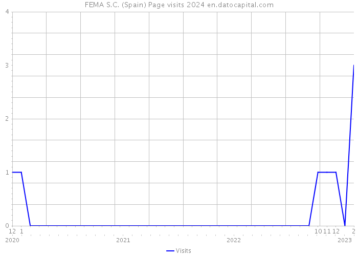 FEMA S.C. (Spain) Page visits 2024 