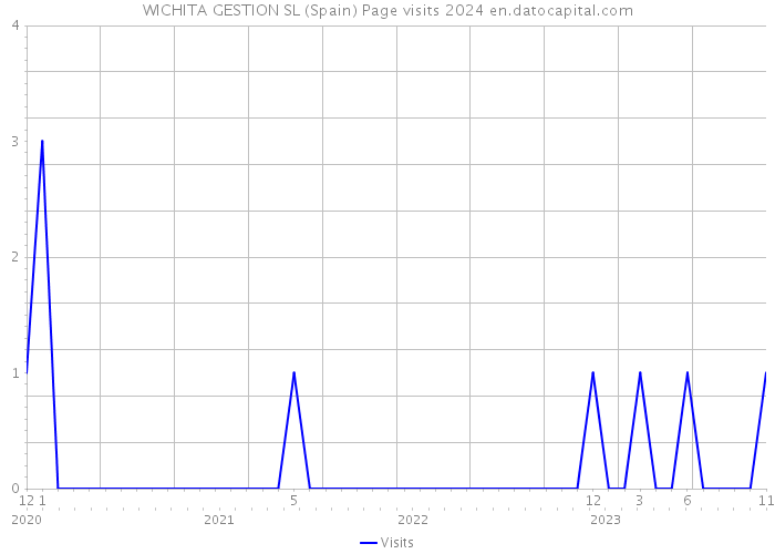 WICHITA GESTION SL (Spain) Page visits 2024 