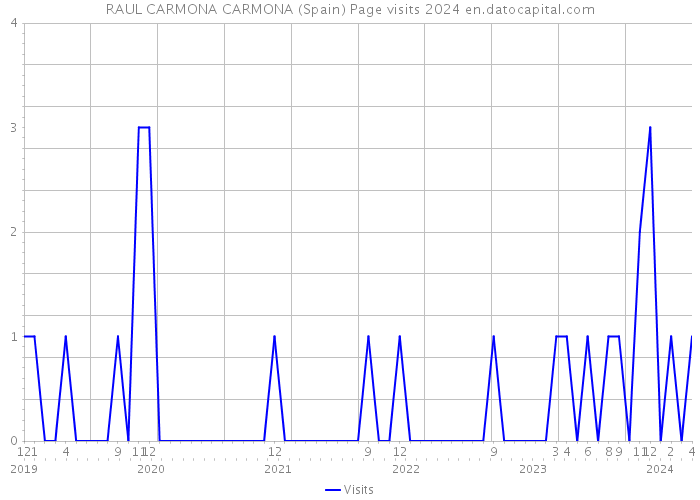 RAUL CARMONA CARMONA (Spain) Page visits 2024 