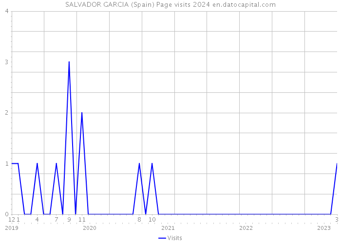 SALVADOR GARCIA (Spain) Page visits 2024 