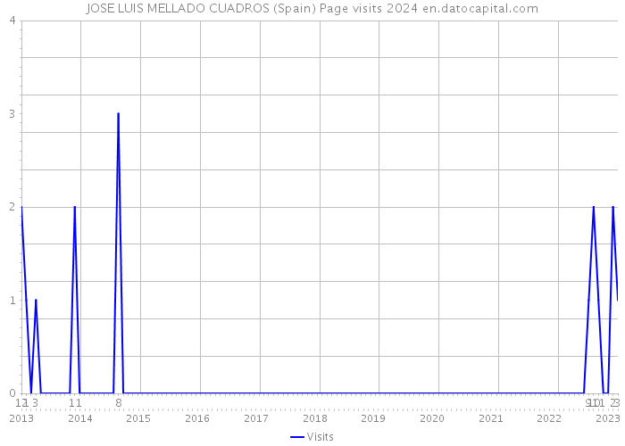 JOSE LUIS MELLADO CUADROS (Spain) Page visits 2024 