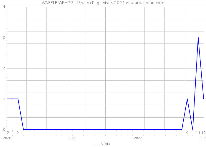 WAFFLE WRAP SL (Spain) Page visits 2024 
