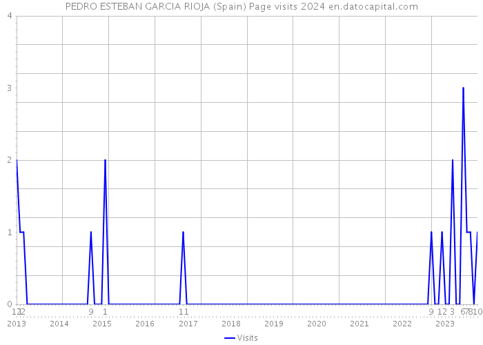 PEDRO ESTEBAN GARCIA RIOJA (Spain) Page visits 2024 