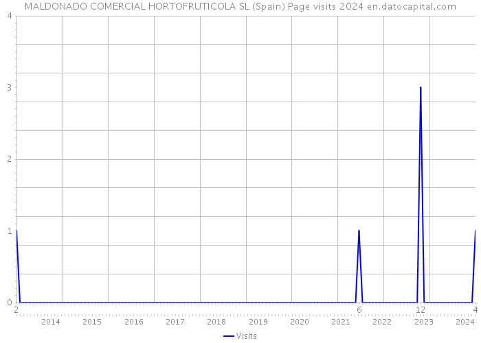 MALDONADO COMERCIAL HORTOFRUTICOLA SL (Spain) Page visits 2024 