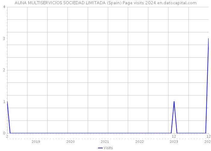 AUNA MULTISERVICIOS SOCIEDAD LIMITADA (Spain) Page visits 2024 