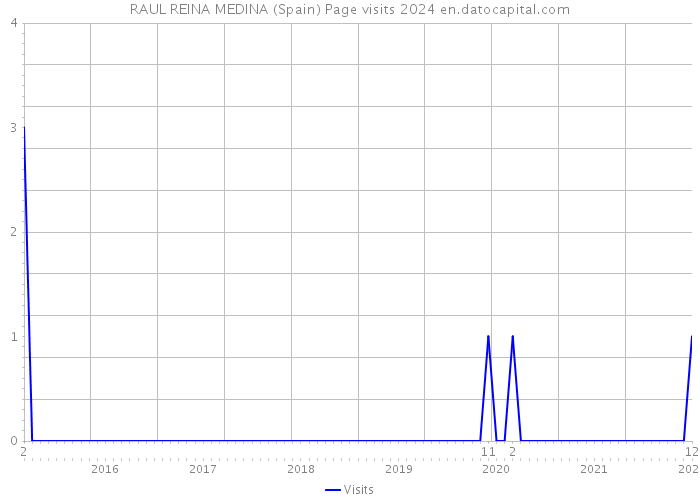 RAUL REINA MEDINA (Spain) Page visits 2024 