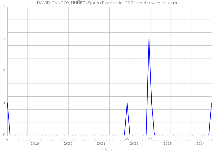 DAVID GANDOY NUÑEZ (Spain) Page visits 2024 