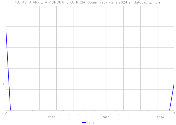 NATASHA ARRIETA MUNDUATE PATRICIA (Spain) Page visits 2024 