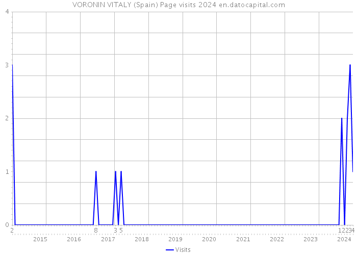 VORONIN VITALY (Spain) Page visits 2024 