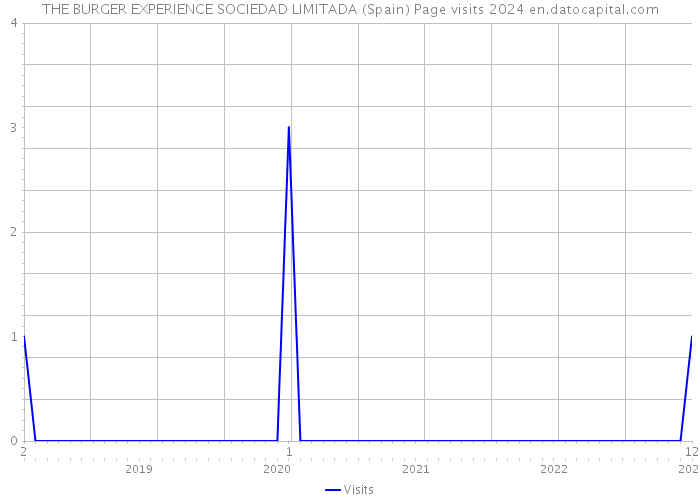 THE BURGER EXPERIENCE SOCIEDAD LIMITADA (Spain) Page visits 2024 