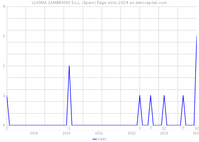 LUISMA ZAMBRANO S.L.L. (Spain) Page visits 2024 