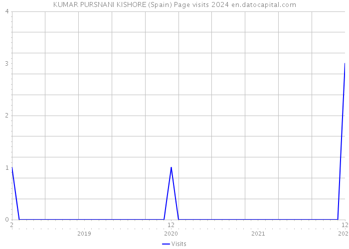 KUMAR PURSNANI KISHORE (Spain) Page visits 2024 