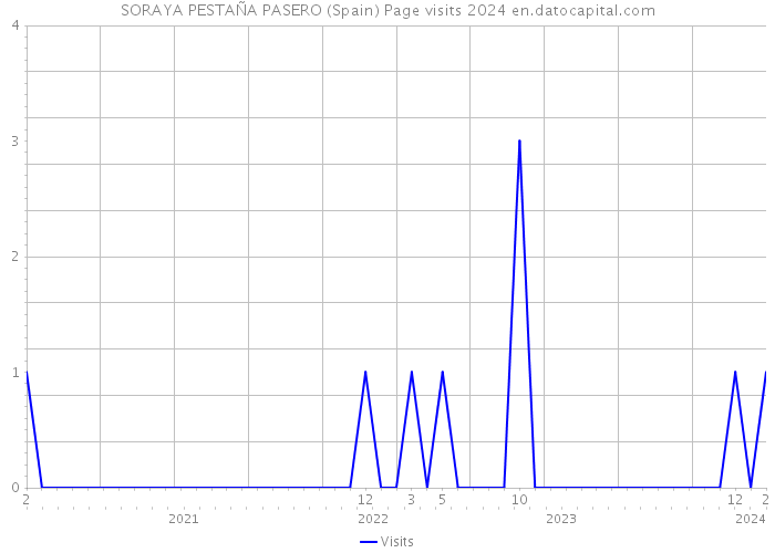 SORAYA PESTAÑA PASERO (Spain) Page visits 2024 