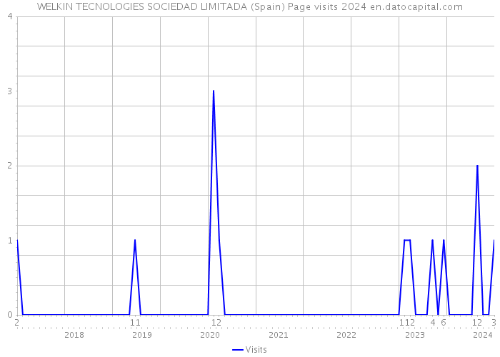 WELKIN TECNOLOGIES SOCIEDAD LIMITADA (Spain) Page visits 2024 