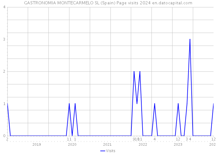 GASTRONOMIA MONTECARMELO SL (Spain) Page visits 2024 