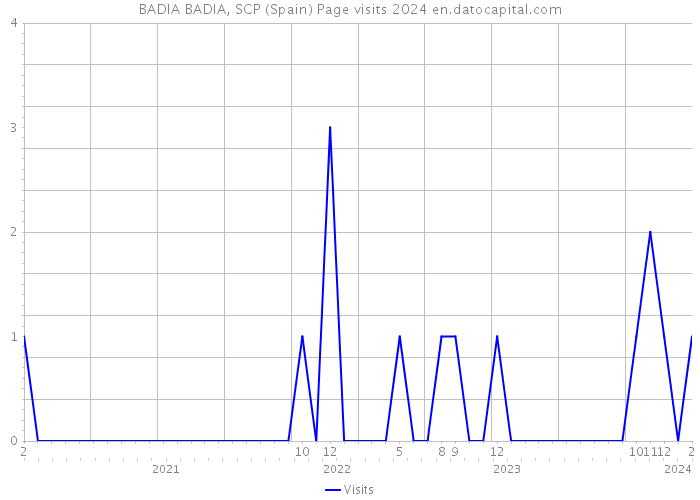 BADIA BADIA, SCP (Spain) Page visits 2024 