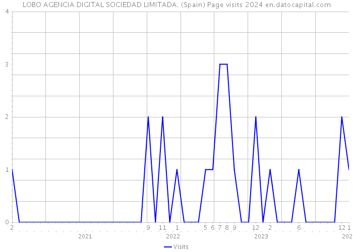 LOBO AGENCIA DIGITAL SOCIEDAD LIMITADA. (Spain) Page visits 2024 