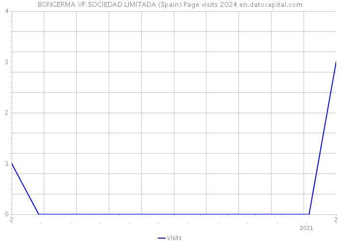 BONGERMA VF SOCIEDAD LIMITADA (Spain) Page visits 2024 