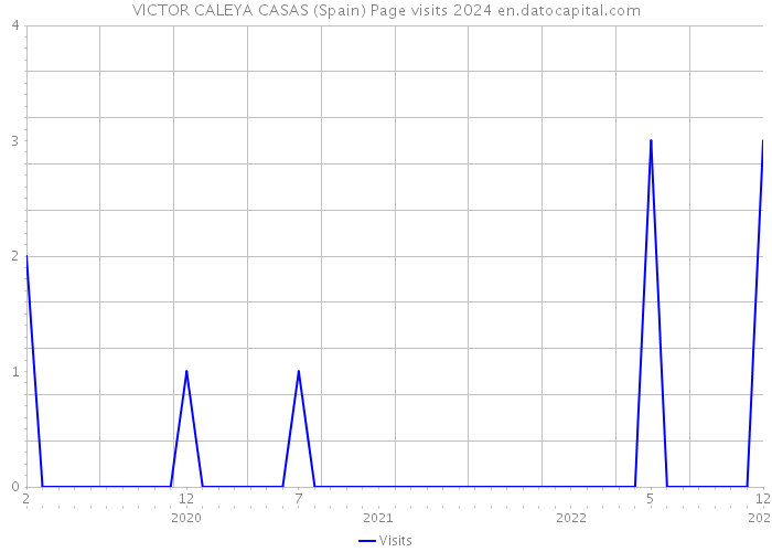 VICTOR CALEYA CASAS (Spain) Page visits 2024 
