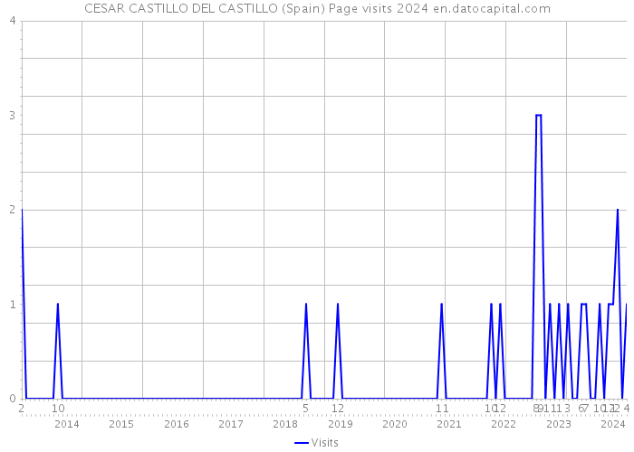 CESAR CASTILLO DEL CASTILLO (Spain) Page visits 2024 