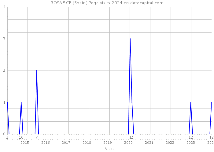 ROSAE CB (Spain) Page visits 2024 