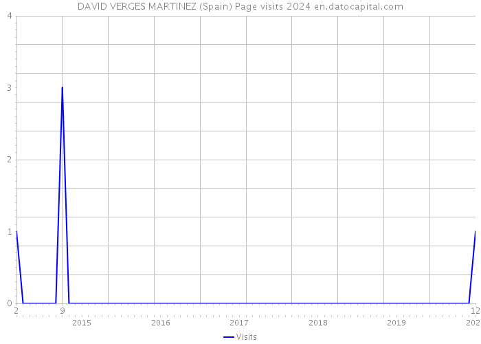 DAVID VERGES MARTINEZ (Spain) Page visits 2024 