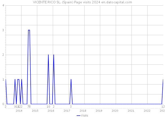 VICENTE RICO SL. (Spain) Page visits 2024 