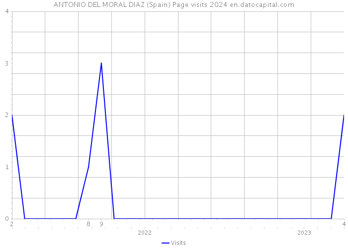 ANTONIO DEL MORAL DIAZ (Spain) Page visits 2024 