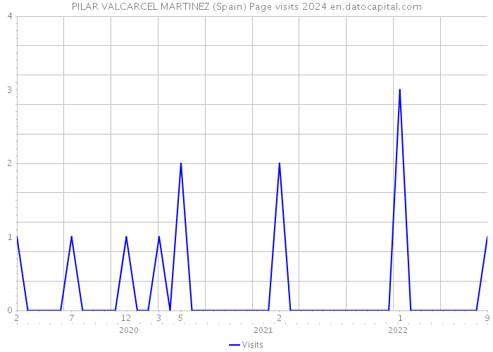 PILAR VALCARCEL MARTINEZ (Spain) Page visits 2024 