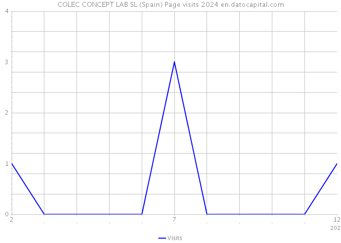 COLEC CONCEPT LAB SL (Spain) Page visits 2024 