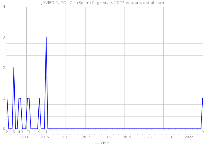 JAVIER PUYOL GIL (Spain) Page visits 2024 