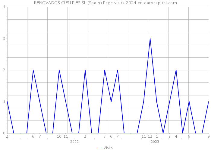 RENOVADOS CIEN PIES SL (Spain) Page visits 2024 