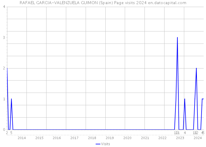 RAFAEL GARCIA-VALENZUELA GUIMON (Spain) Page visits 2024 