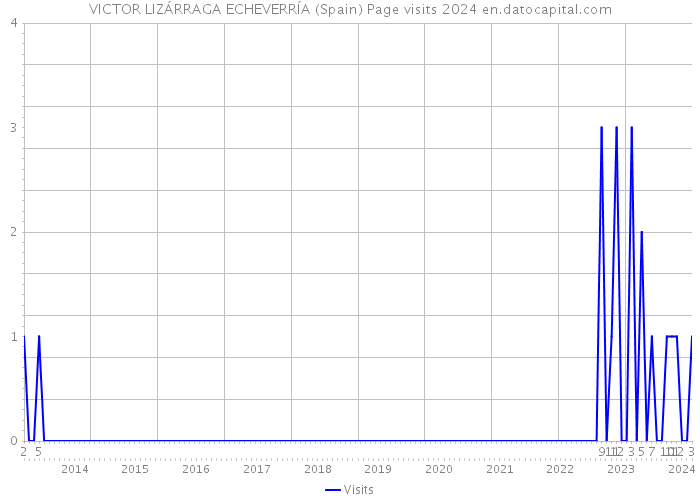 VICTOR LIZÁRRAGA ECHEVERRÍA (Spain) Page visits 2024 