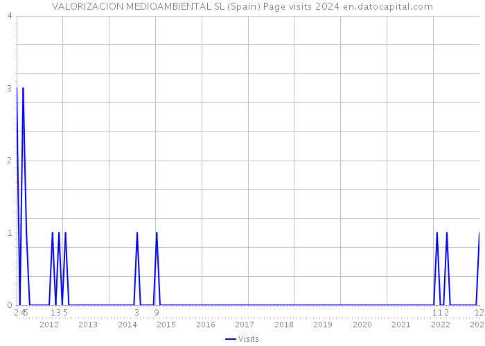 VALORIZACION MEDIOAMBIENTAL SL (Spain) Page visits 2024 