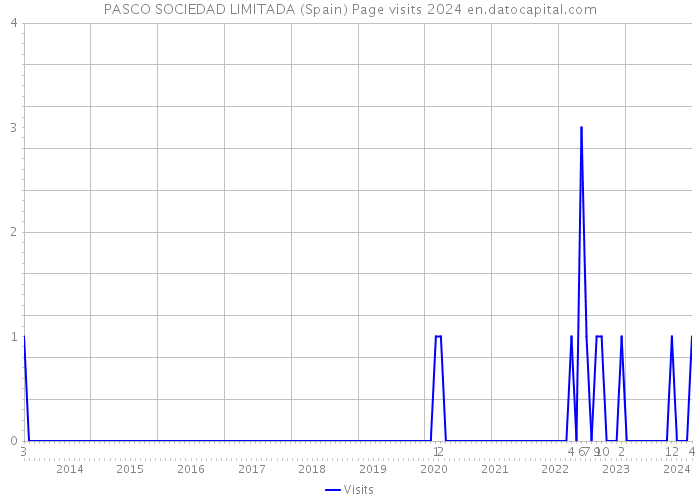 PASCO SOCIEDAD LIMITADA (Spain) Page visits 2024 