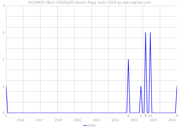 RICARDO VELA GONZALEZ (Spain) Page visits 2024 