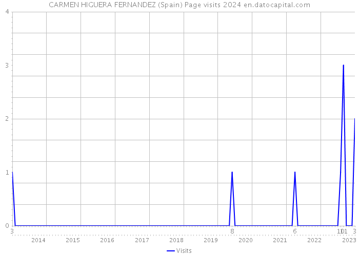 CARMEN HIGUERA FERNANDEZ (Spain) Page visits 2024 