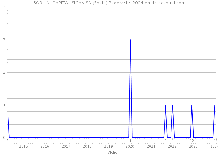 BORJUNI CAPITAL SICAV SA (Spain) Page visits 2024 