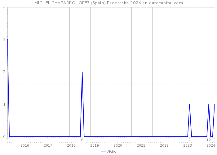 MIGUEL CHAPARRO LOPEZ (Spain) Page visits 2024 