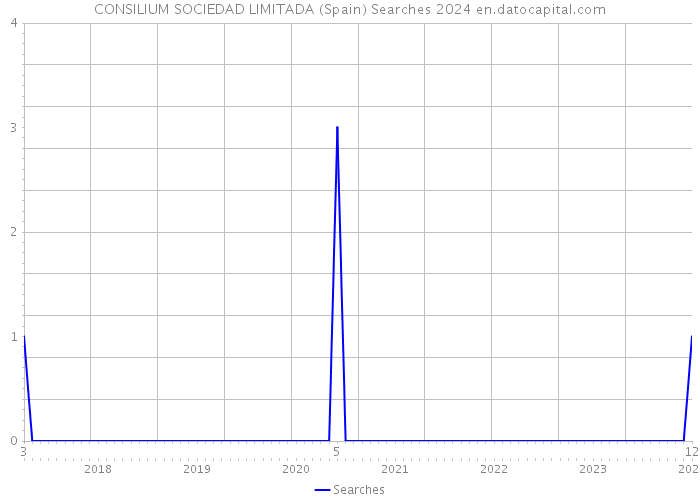 CONSILIUM SOCIEDAD LIMITADA (Spain) Searches 2024 
