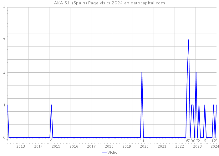 AKA S.I. (Spain) Page visits 2024 